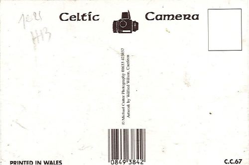 Welsh Legends Merlin