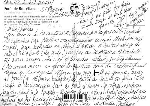 Le chêne des Hindrés