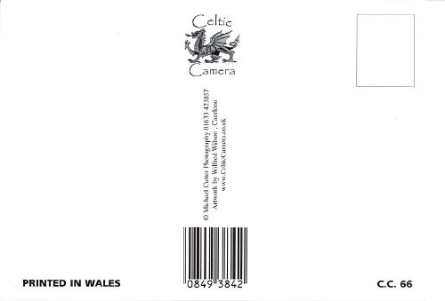 Welsh Legends The Story of St David